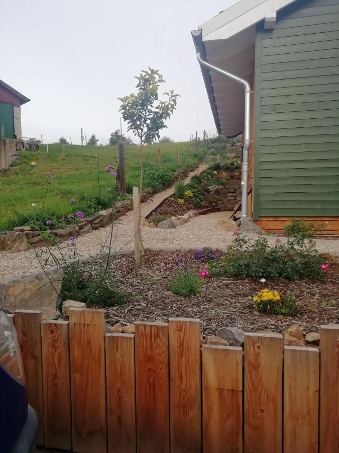 Ferienhaus Am Kuhstall 바트 뮌스터아이펠 외부 사진